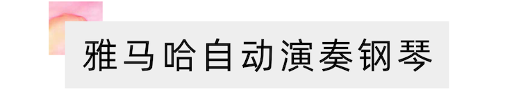 活动报道 | “科技助力，跨越时空”，小鹿纯子携手刘明康共享中日音乐盛宴